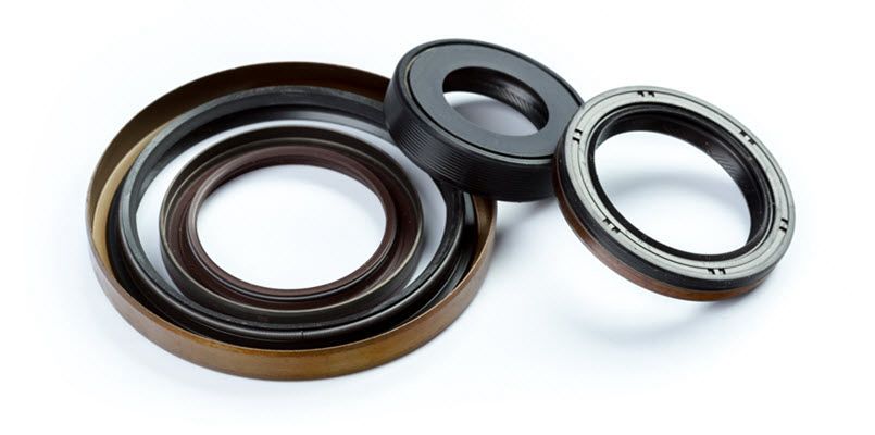 whatsapp image 2025 09 18 at 1.13.01 am (1)